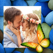 Butterfly Photo Frame - Creative and Effective Frames for your photo