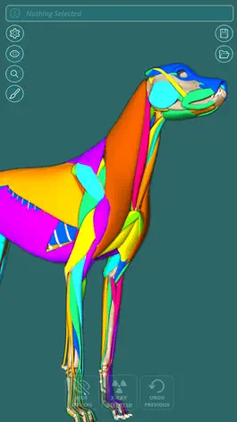 Game screenshot Visual Anatomy - Canine hack