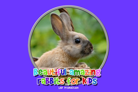 beautiful amazing rabbits for kids - no ads screenshot 4