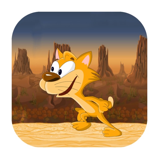 Cat In Desert Pro Icon