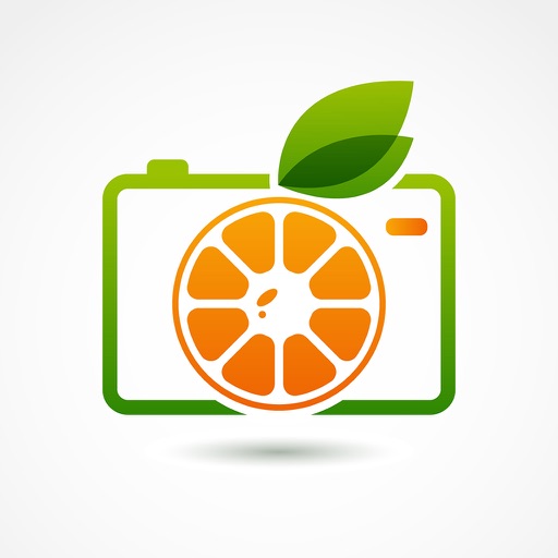 Food Picture Camera icon
