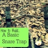 How To Build Up A Snare Trap:Survival Skills