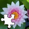 Flower Colors Puzzles