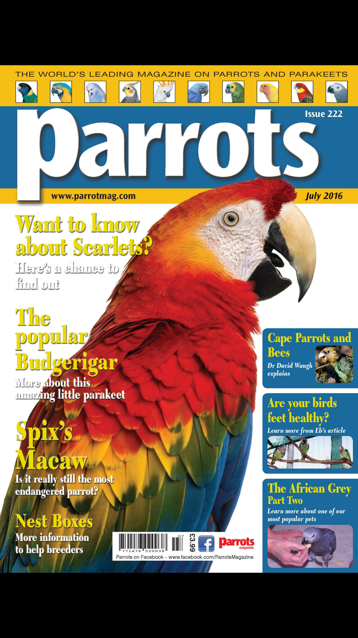 Parrots magazine