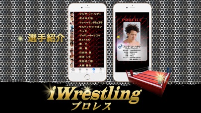 iプロレス ver みちのくプロレス 九龍2のおすすめ画像4