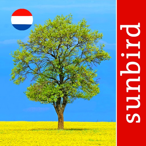 Tree Id Netherlands - Identification Guide to Trees icon