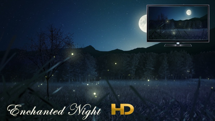 Enchanted Night HD