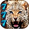 Cheetah Slots Safari - FREE 777 Las Vegas & Casino Slot Machine Jackpot!