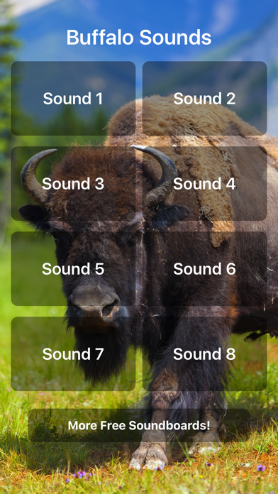 Buffalo Sounds! Screenshot