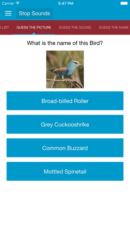 African Birds and Sounds screenshot-3