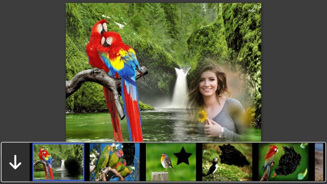 Bird Photo Frames - Creative Frames for your photo(圖1)-速報App