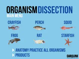 Game screenshot Organism Dissection Free apk