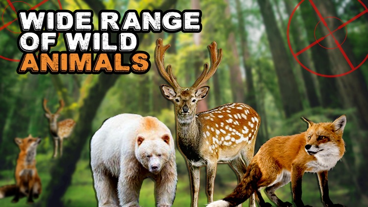 Dear Hunter - Deer Bear and Fox hunting with sniper