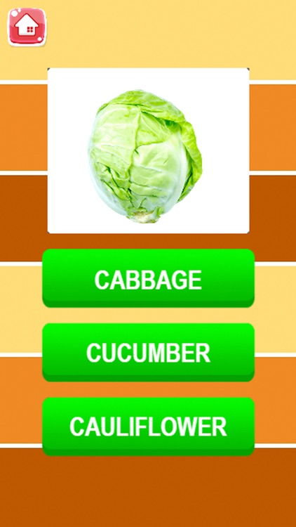 Learning English Vocabulary With Picture - Vegetables