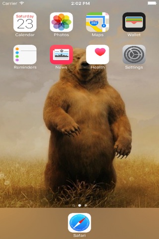 Bear Wallpapers Free screenshot 2
