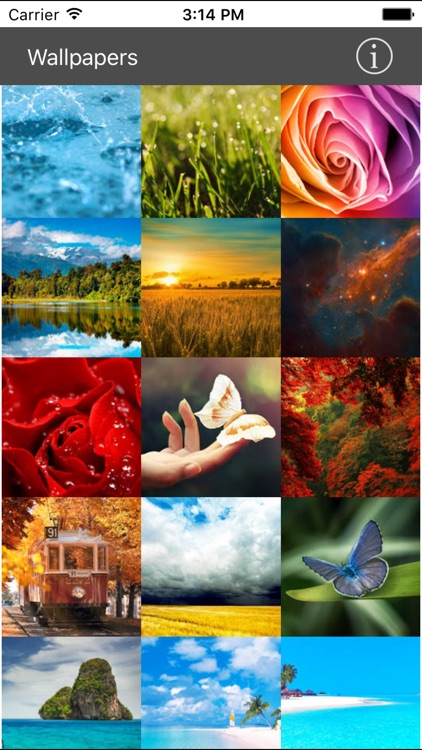 Wallpaper Collection Plus