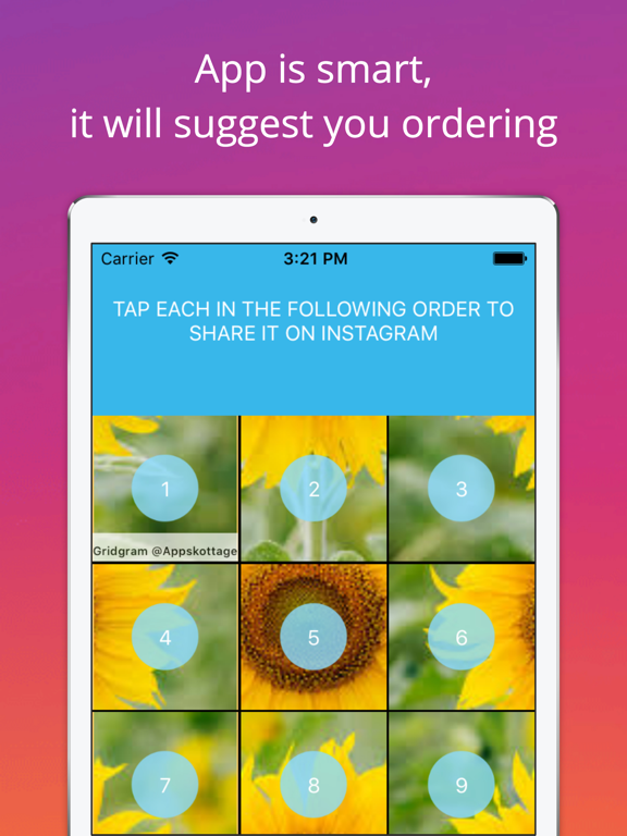 Grid Style For Instagram Instagrid Post Banner Sized Full Size