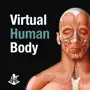 Virtual Human Body