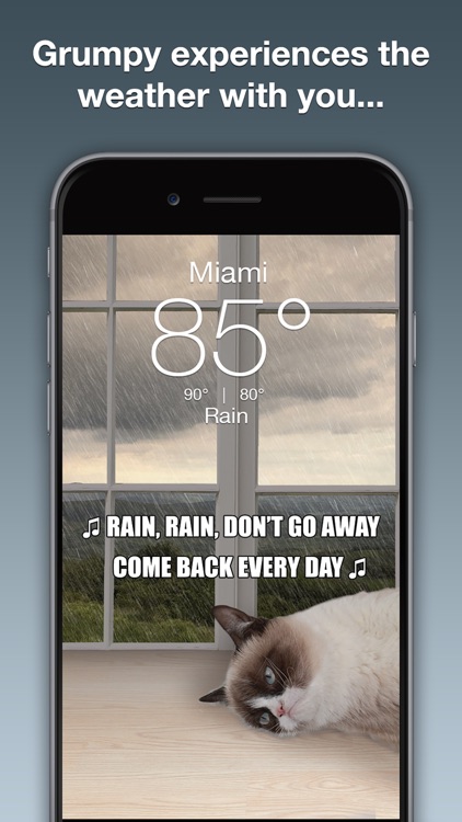 Grumpy Cat Weather