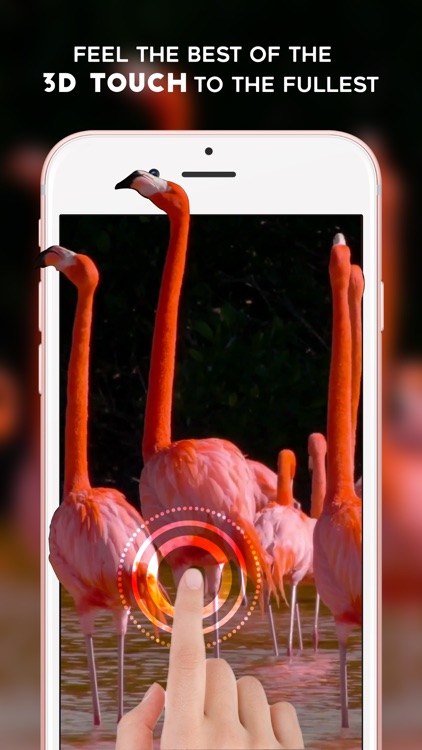 Live Wallpapers - Animated Themes & Backgrounds for iPhone 6S , 6S plus & iPhone SE screenshot-3