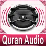 Quran Audio - Sheikh Ayub App Cancel