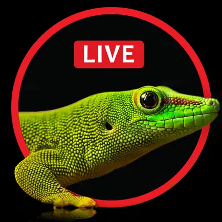 Live Wallpaper for iPhone 6s, 6s plus – Free Animated & Custom Dynamic Backgrounds Cheats