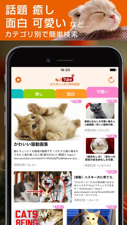 ねこまとめ For Youtube 癒しの猫動画まとめアプリ By Seec Inc ねこまとめ For Youtube 癒しの猫動画まとめアプリ By Seec Inc