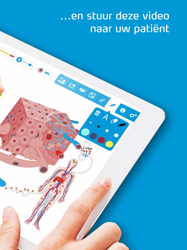 Diabetes Zorgatlas(圖4)-速報App