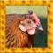 Wild Chicken Simulator 3D