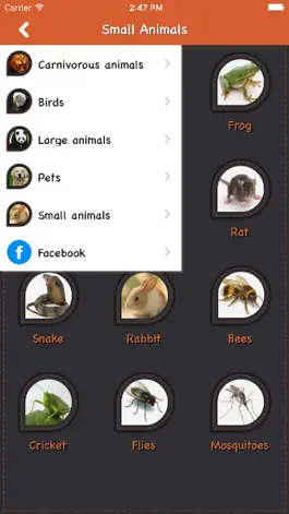 Game screenshot Animal Sounds Best apk