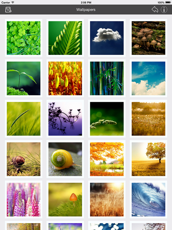 Screenshot #5 for Wallpaper Collection Nature Edition