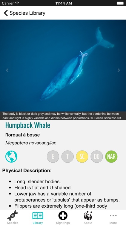 Sea ID - Cloud screenshot-4