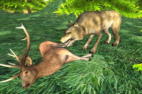 Wild Wolf Attack Adventure 3D - Wild  Beast wolf Revenge From Animals screenshot 3