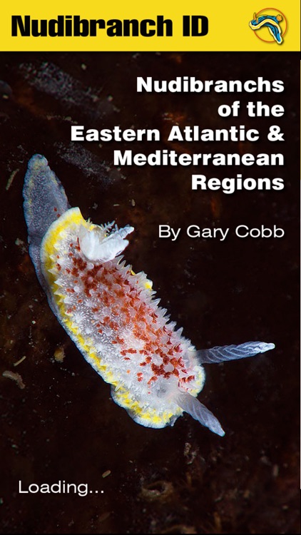 Nudibranch ID E Atlantic Med