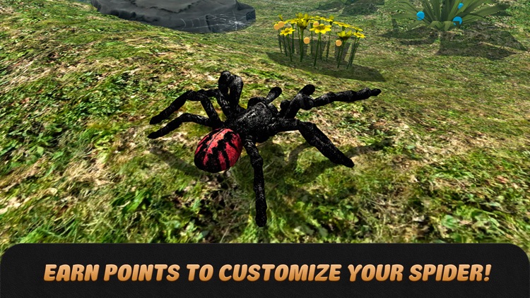 Spider Life Simulator 3D screenshot-3