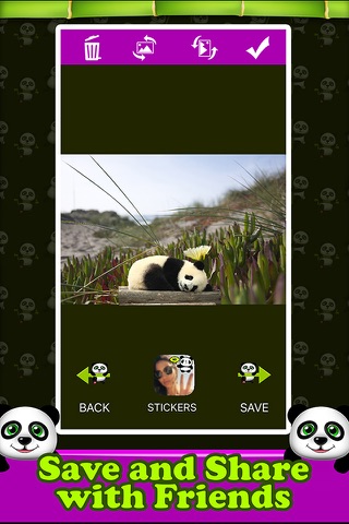 Panda Snap - Awesome Panda Stickers screenshot 4