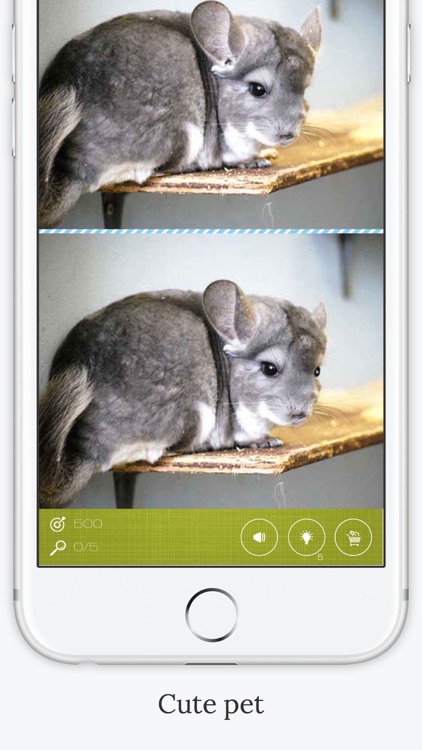 Find the Difference in Chinchilla