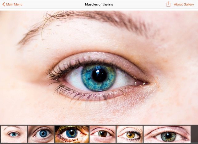 Bret Shah Photography(圖2)-速報App