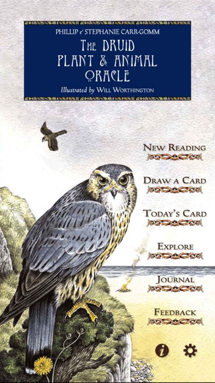 Druid Oracle Cards