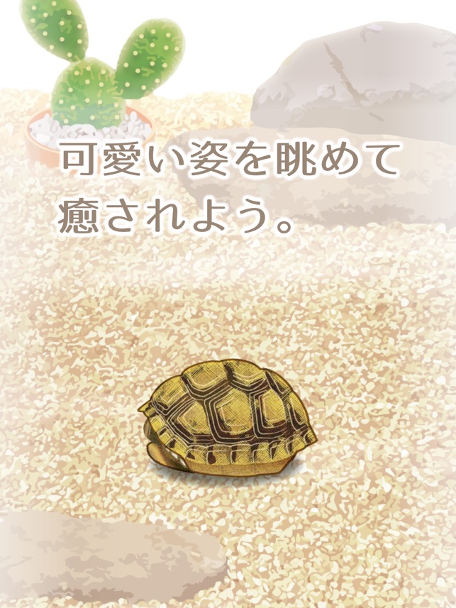 癒しのカメ育成ゲーム 無料 をapp Storeで 癒しのカメ育成ゲーム 無料 をapp Storeで