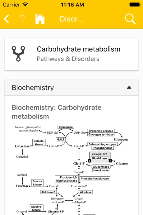 eVM - Vademecum Metabolicum