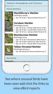 birdseye texas ornithological society iphone images 3