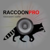 Icon Raccoon Calls - Raccoon Hunting - Raccoon Sounds