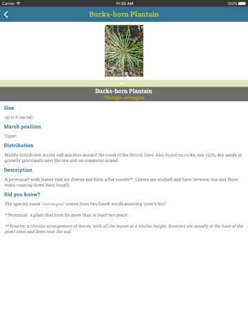 Screenshot #5 pour The Saltmarsh App