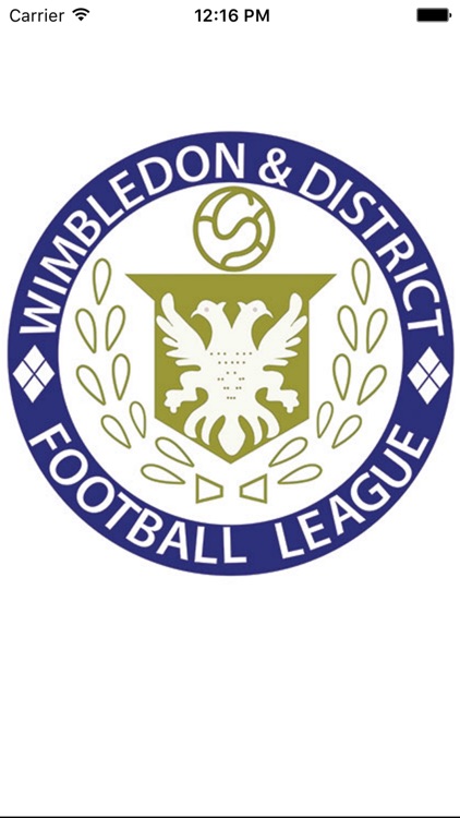 Wimbledon & District Football League