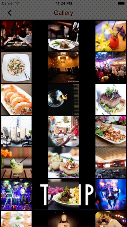 Tempo Scratch Kitchen & Cocktails