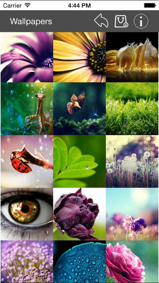#1. Wallpaper Collection Macro Edition (iOS) 由: Nitrio