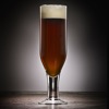 The Oxford Companion to Beer - iPadアプリ