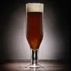 The Oxford Companion to Beer App Support