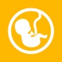 Fetal Weight Calculator - Estimate Weight and Growth Percentile app download